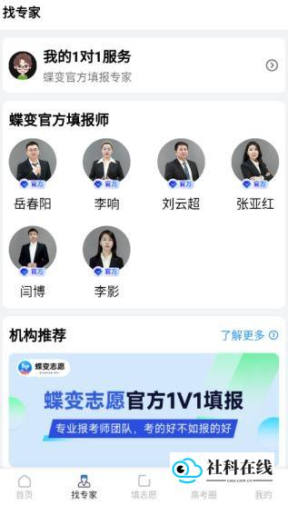 专家咨询服务界面